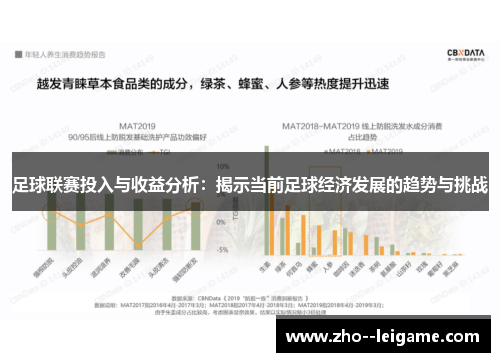 足球联赛投入与收益分析：揭示当前足球经济发展的趋势与挑战